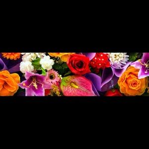 Meet your Posher, Liz